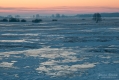 050_Biebrza - marzec 2013